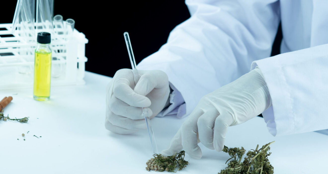 Cannabis addiction treatment in Islamabad