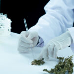 Cannabis addiction treatment in Islamabad